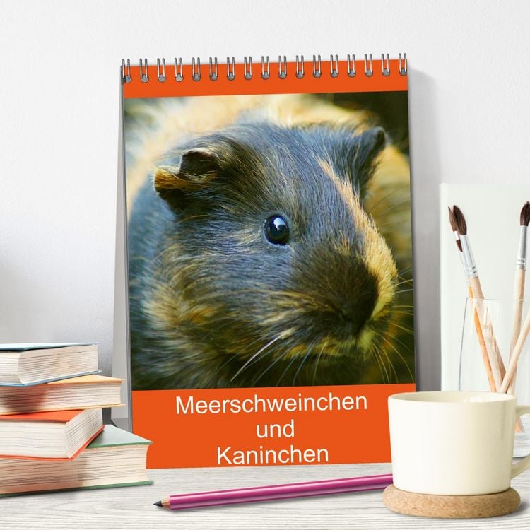 Produktbild: Meerschweinchen und Kaninchen Familienplaner (Tischkalender 2026 DIN A5 hoch), CALVENDO Monatskalender