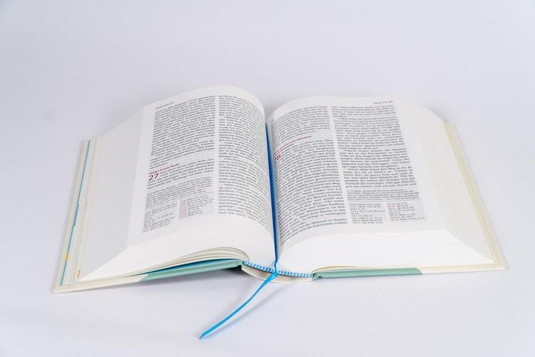 Neues Leben. Die Bibel für Kids