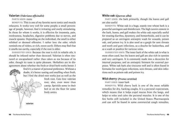 Produktbild: Herbs for Common Ailments