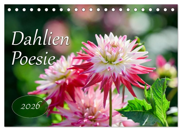 Produktbild: Dahlien Poesie (Tischkalender 2026 DIN A5 quer), CALVENDO Monatskalender
