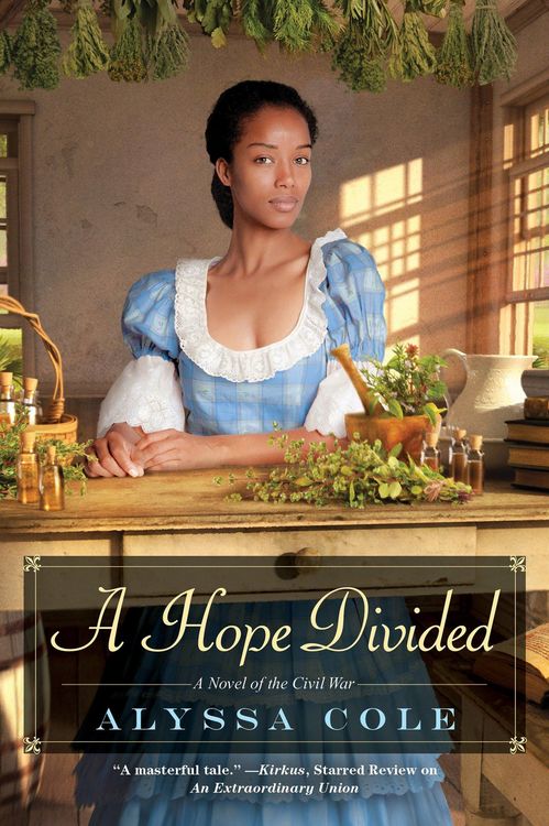 Produktbild: A Hope Divided