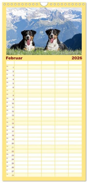 Produktbild: Familienplaner 2026 - Appenzeller Sennenhunde - Fr&ouml;hliche Kameraden mit 5 Spalten (Wandkalender, 21 x 45 cm) CALVENDO