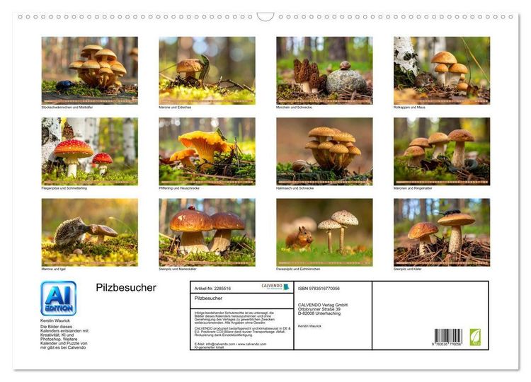 Produktbild: Pilzbesucher (Wandkalender 2027 DIN A2 quer), CALVENDO Monatskalender