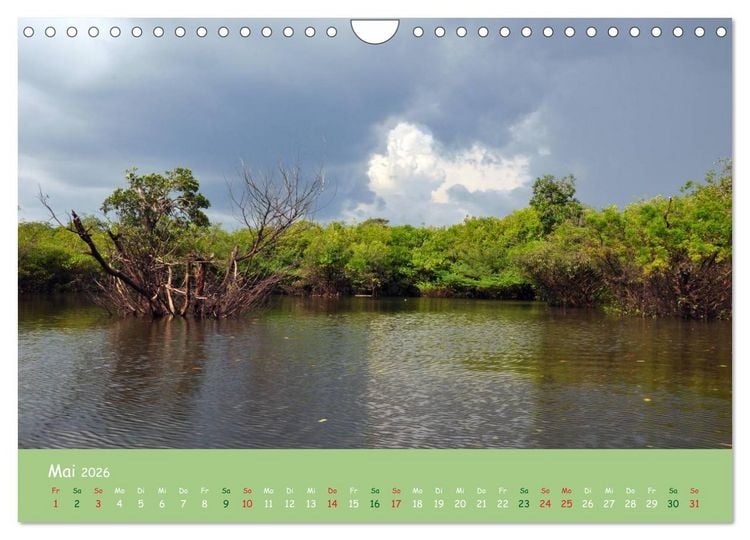 Produktbild: Am Amazonas (Wandkalender 2026 DIN A4 quer), CALVENDO Monatskalender