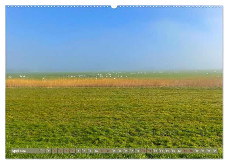 Produktbild: Erlebe mit mir die Niederlande (hochwertiger Premium Wandkalender 2026 DIN A2 quer), Kunstdruck in Hochglanz