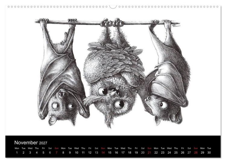 Produktbild: owls & friends 2027 (High Quality Premium Wall Calendar 2027 DIN A2 landscape),CALVENDO 12 Month Wall Calendar