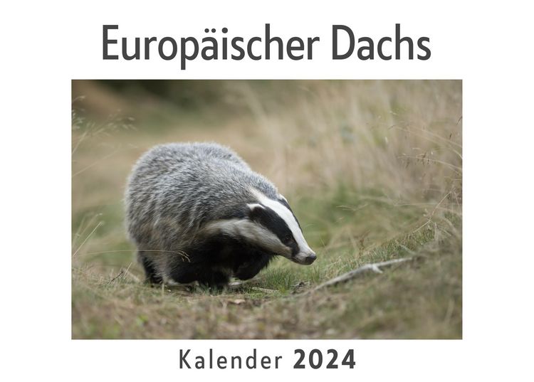 Produktbild: Europ&auml;ischer Dachs (Wandkalender 2024, Kalender DIN A4 quer, Monatskalender im Querformat mit Kalendarium, Das perfekte Geschenk)