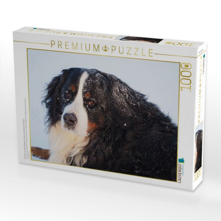 Produktbild: CALVENDO Puzzle Ein Motiv aus dem Kalender Tierisch nahe Berner-Portr&auml;ts | 1000 Teile Lege-Gr&ouml;&szlig;e 64x48cm Foto-Puzzle f&uuml;r gl&uuml;ckliche Stunden