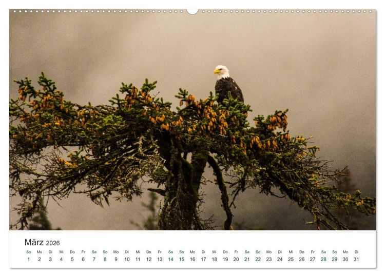 Produktbild: Into the Wild - Kanada und Alaska (Wandkalender 2026 DIN A2 quer), CALVENDO Monatskalender