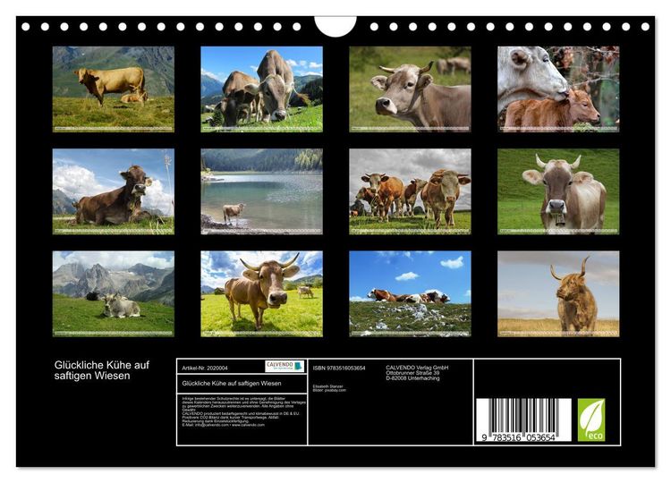 Produktbild: Gl&uuml;ckliche K&uuml;he auf saftigen Wiesen (Wandkalender 2026 DIN A4 quer), CALVENDO Monatskalender