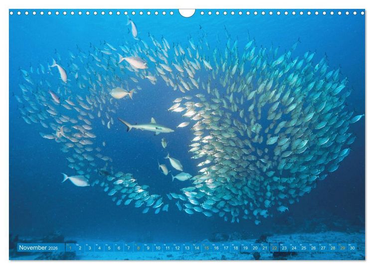 Produktbild: Planet Wasser: Von wegen Planet Erde (Wandkalender 2026 DIN A3 quer), CALVENDO Monatskalender