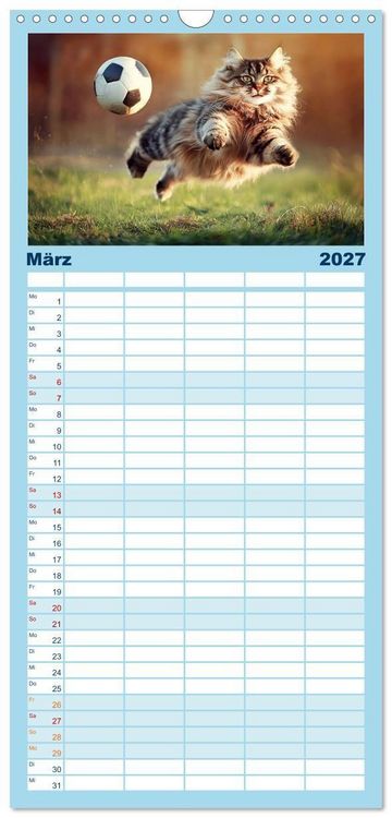 Produktbild: Familienplaner 2027 - Lustige Sportarten f&uuml;r Katzen mit 5 Spalten (Wandkalender, 21 x 45 cm) CALVENDO