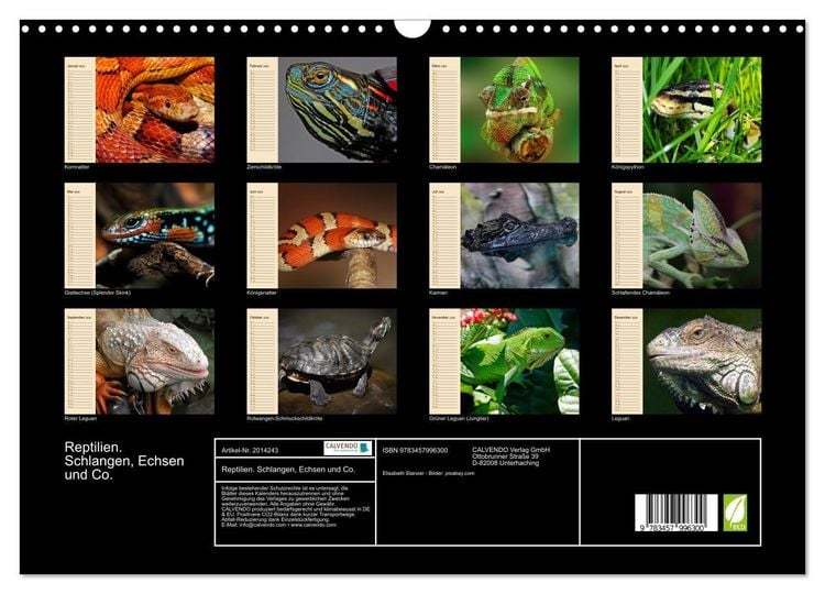 Produktbild: Reptilien. Schlangen, Echsen und Co. (Wandkalender 2026 DIN A3 quer), CALVENDO Monatskalender
