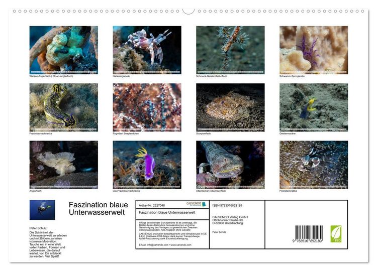 Produktbild: Faszination blaue Unterwasserwelt (hochwertiger Premium Wandkalender 2027 DIN A2 quer), Kunstdruck in Hochglanz