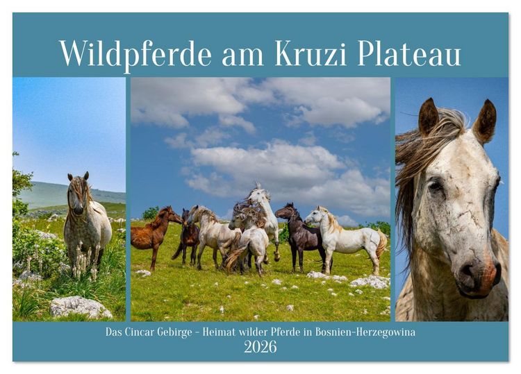 Produktbild: Wildpferde am Kruzi Plateau (Tischkalender 2026 DIN A5 quer), CALVENDO Monatskalender