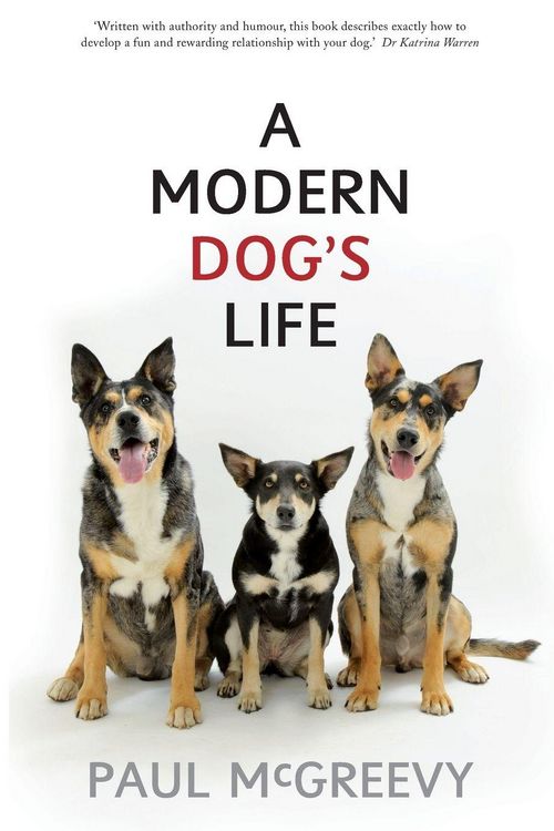 Produktbild: A Modern Dog's Life