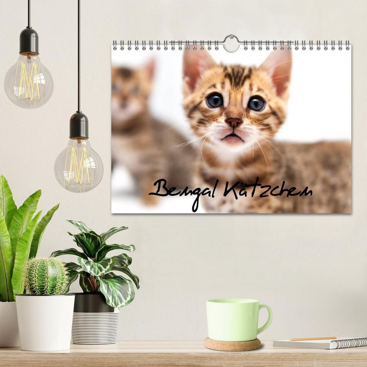 Produktbild: Bengal K&auml;tzchen (Wandkalender 2026 DIN A4 quer), CALVENDO Monatskalender