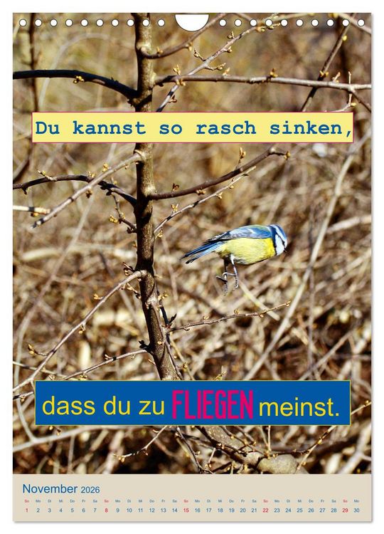 Produktbild: Nimm das Leben leicht, auch wenn's manchmal schwerf&auml;llt (Wandkalender 2026 DIN A4 hoch), CALVENDO Monatskalender