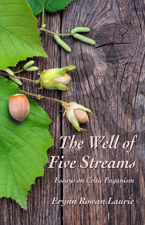 Produktbild: The Well of Five Streams