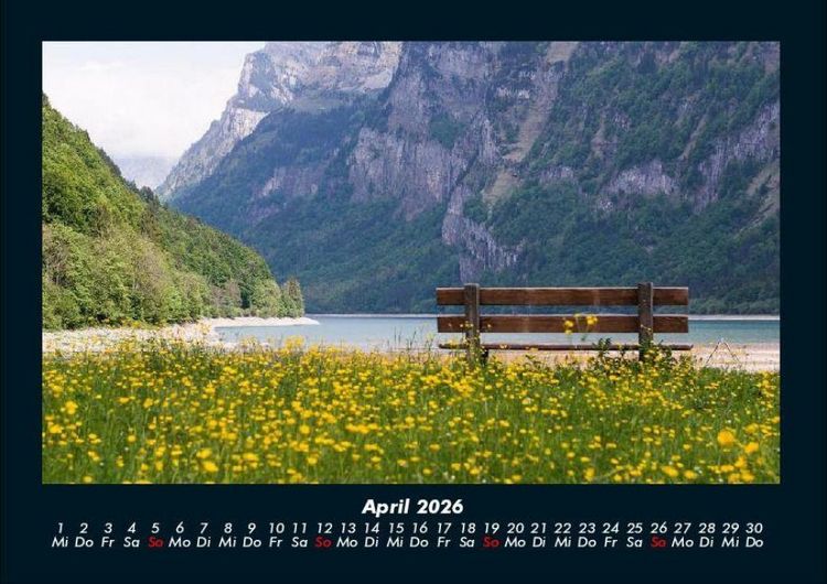 Produktbild: Pflanzen und Bl&uuml;ten 2026 Fotokalender DIN A4