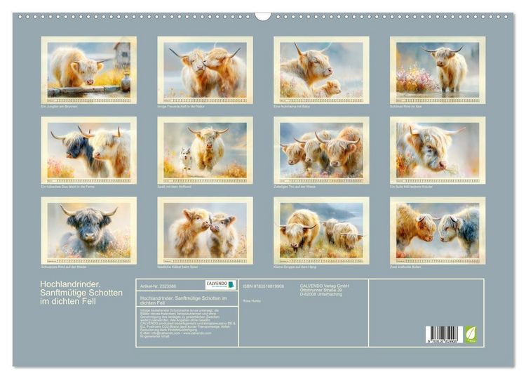 Produktbild: Hochlandrinder. Sanftm&uuml;tige Schotten im dichten Fell (Wandkalender 2027 DIN A2 quer), CALVENDO Monatskalender