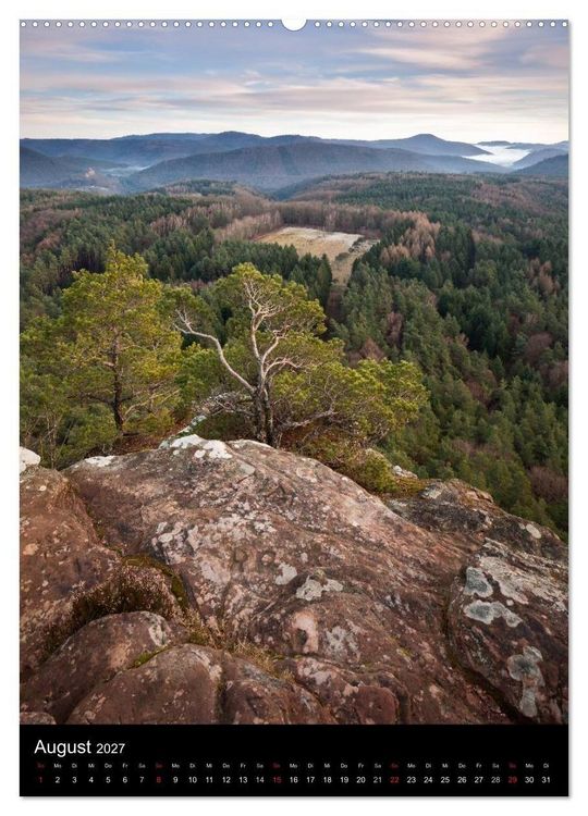 Produktbild: NATURWUNDER PF&Auml;LZERWALD (Wandkalender 2027 DIN A2 hoch), CALVENDO Monatskalender