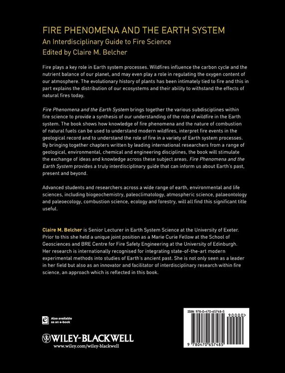 Produktbild: Fire Phenomena and the Earth System