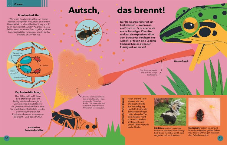 Produktbild: Tierisch clever