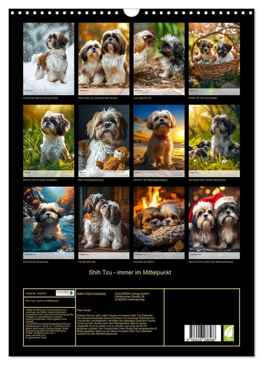 Produktbild: Shih Tzu - immer im Mittelpunkt (Wandkalender 2026 DIN A3 hoch), CALVENDO Monatskalender