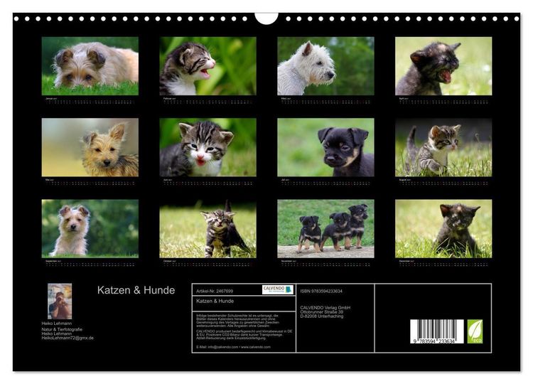 Produktbild: Katzen & Hunde (Wandkalender 2027 DIN A3 quer), CALVENDO Monatskalender