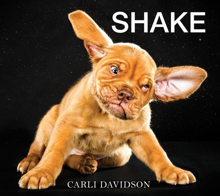 Produktbild: Shake