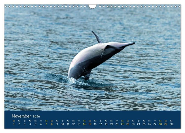 Produktbild: Faszinierende Tierwelt von Mauritius - Magische Momente der Natur (Wandkalender 2026 DIN A3 quer), CALVENDO Monatskalender