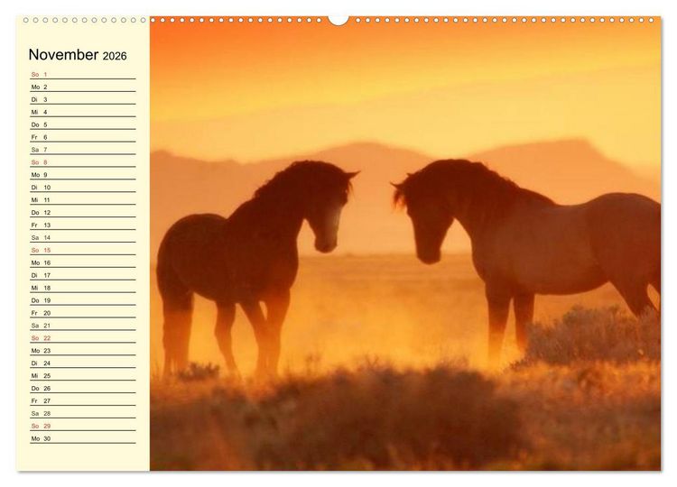 Produktbild: Wilde Pferde. Mustangs in USA (hochwertiger Premium Wandkalender 2026 DIN A2 quer), Kunstdruck in Hochglanz