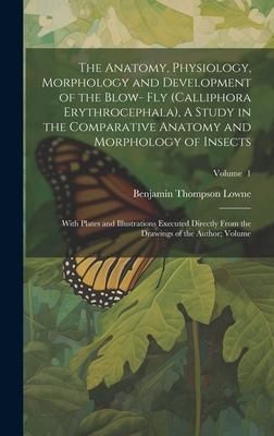 Produktbild: The Anatomy, Physiology, Morphology and Development of the Blow- fly (Calliphora Erythrocephala), A Study in the Comparative Anatomy and Morphology of