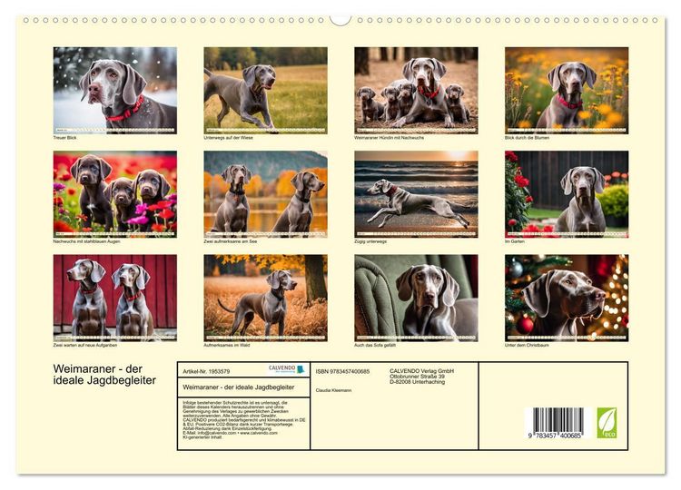 Produktbild: Weimaraner - der ideale Jagdbegleiter (hochwertiger Premium Wandkalender 2026 DIN A2 quer), Kunstdruck in Hochglanz