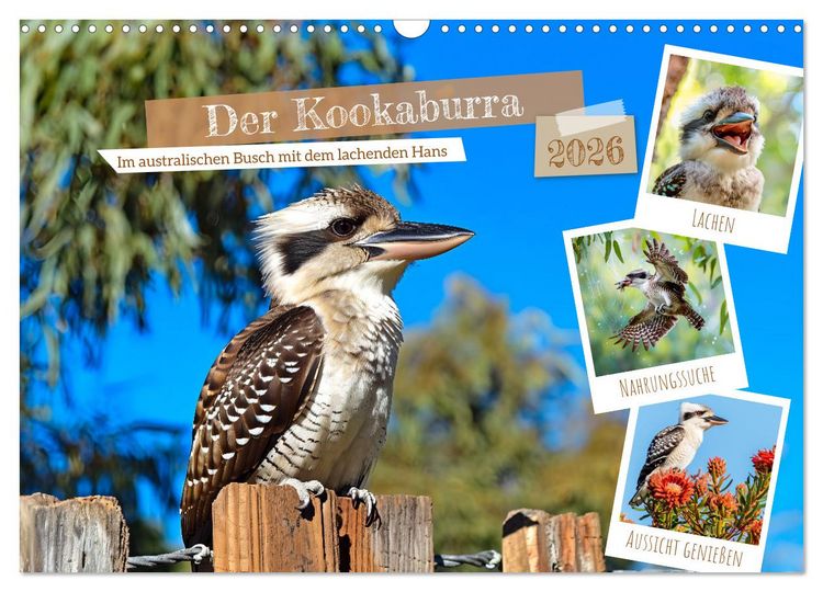 Produktbild: Der Kookaburra - Im australischen Busch mit dem lachenden Hans (Wandkalender 2026 DIN A3 quer), CALVENDO Monatskalender