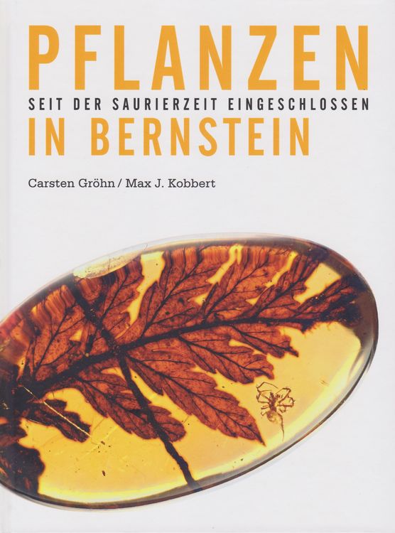 Produktbild: Pflanzen in Bernstein
