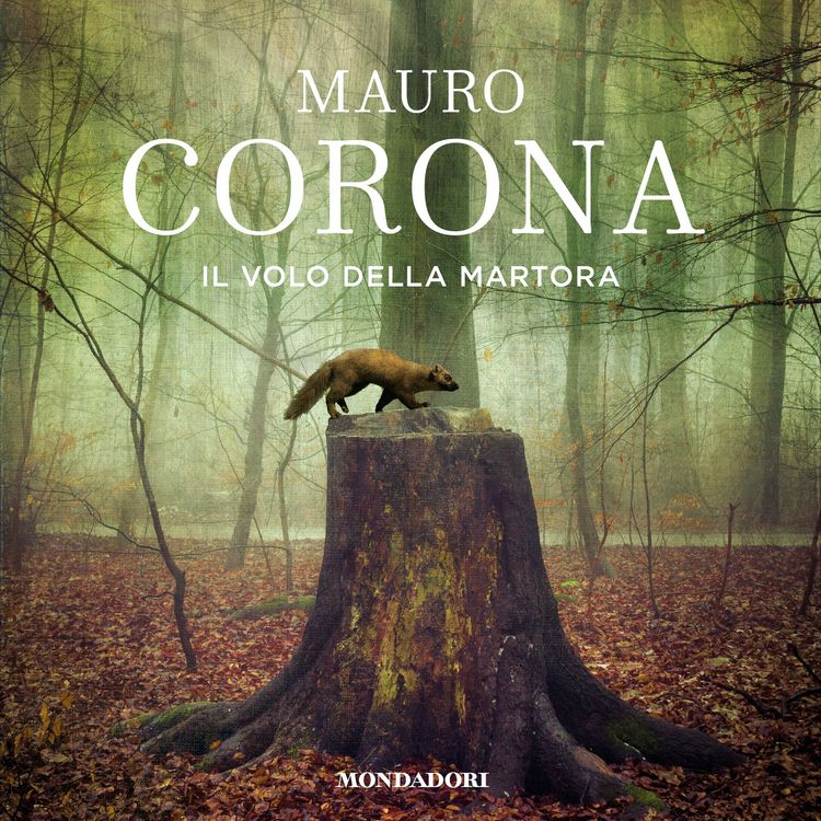 Produktbild: Il volo della martora