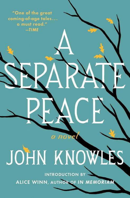 Produktbild: A Separate Peace