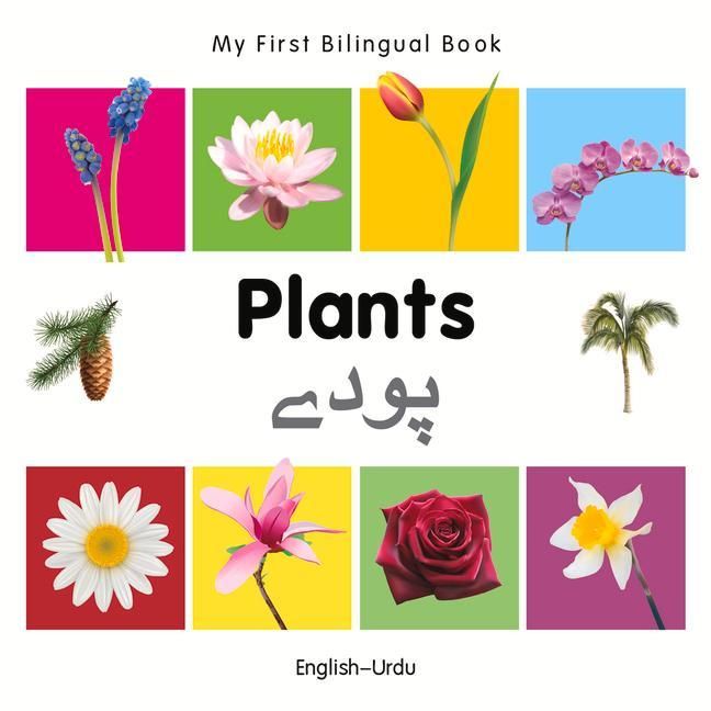Produktbild: My First Bilingual Book - Plants (English-Urdu)
