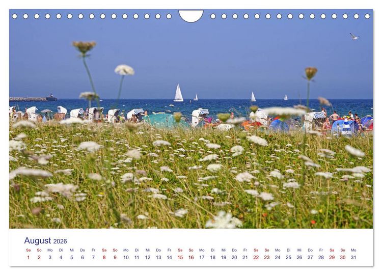 Produktbild: Radtouren ab Eckernf&ouml;rde (Wandkalender 2026 DIN A4 quer), CALVENDO Monatskalender