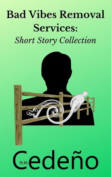 Produktbild: Bad Vibes Removal Services Short Story Collection
