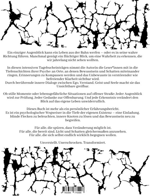 Produktbild: Das Tagebuch von Sinev Jasun. "Eine Perspektive aus der Zwischenwelt - zwischen Schatten und Licht."
