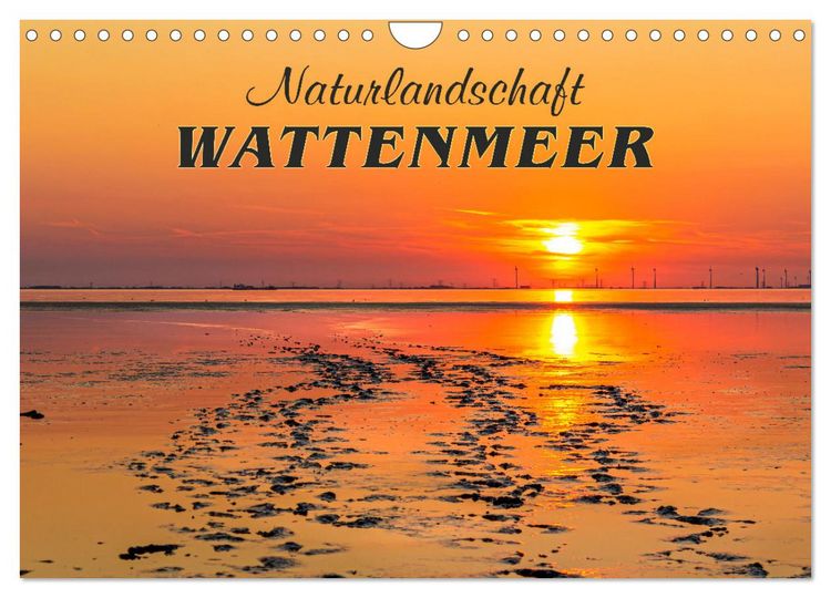 Produktbild: Naturlandschaft WATTENMEER (Wandkalender 2026 DIN A4 quer), CALVENDO Monatskalender