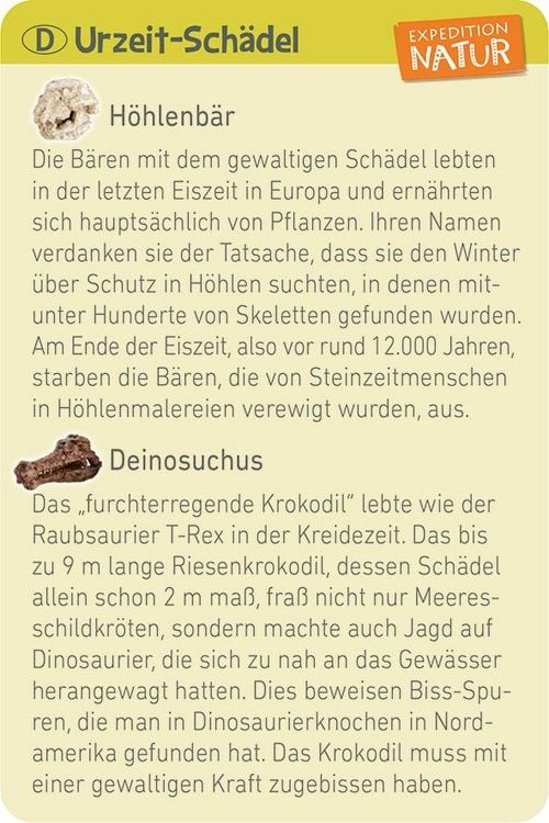Produktbild: Expedition Natur Mini-Ausgrabungssets