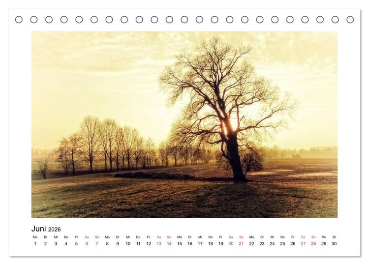 Produktbild: Vorarlberg Bodensee-Traum2026 (Tischkalender 2026 DIN A5 quer), CALVENDO Monatskalender