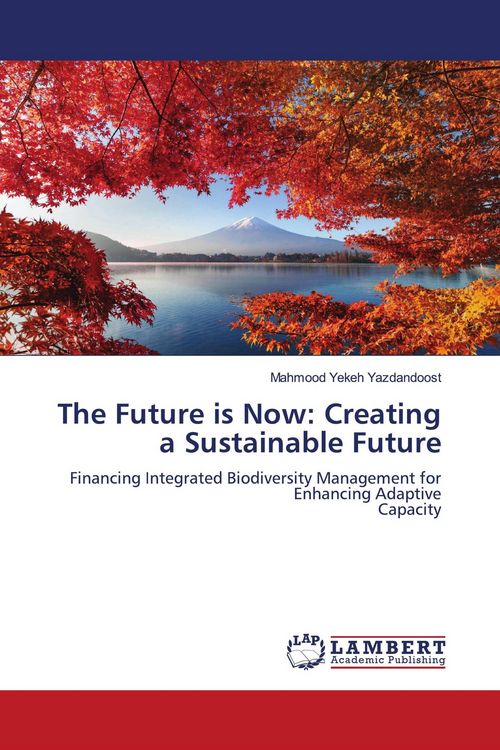 Produktbild: The Future is Now: Creating a Sustainable Future