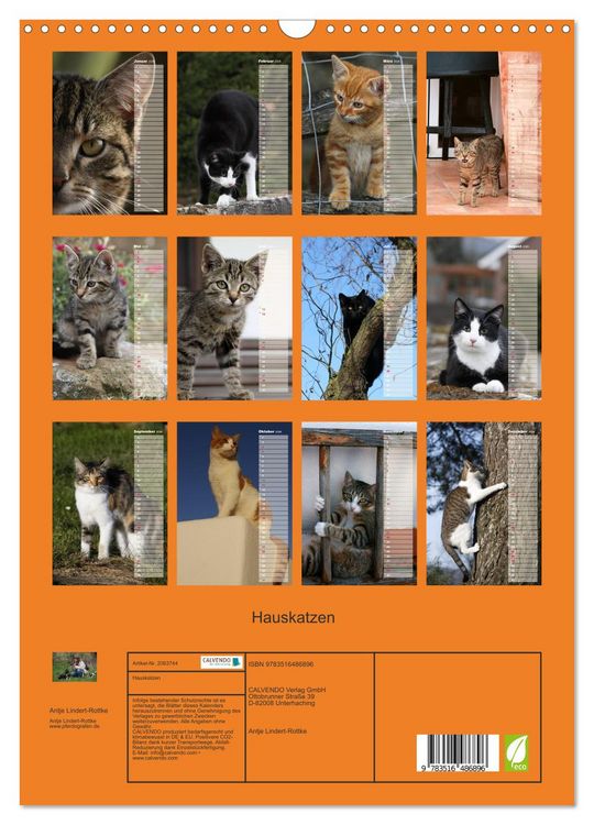 Produktbild: Hauskatzen (Wandkalender 2026 DIN A3 hoch), CALVENDO Monatskalender