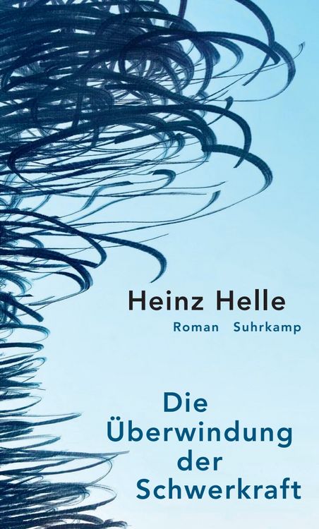 Produktbild: Die &Uuml;berwindung der Schwerkraft