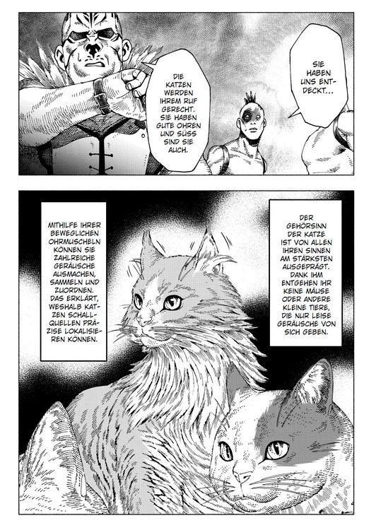 Produktbild: Night of the Living Cat 03 - Cat Max
